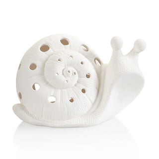 Aquatic - Snail, Lantern