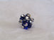 Dark Blue/Silver
