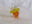 Candy Corn