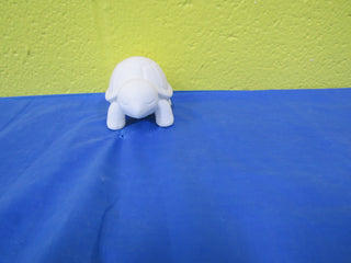 Turtle - 3D