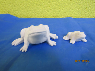Frog- 2pc