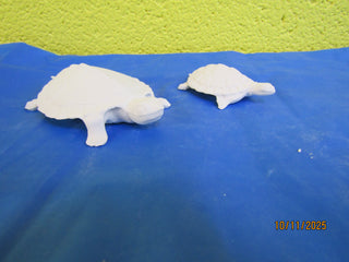 Turtle - 2pc