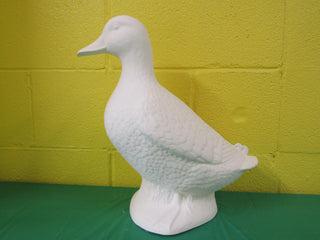 Duck - Large