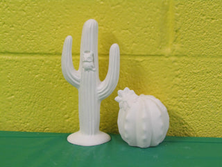 Cactus - 2pc