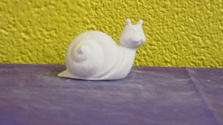 Aquatic - Snail