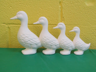Duck - Parade