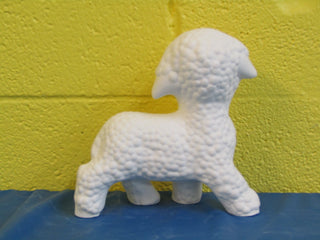 Sheep - Lamb, Standing