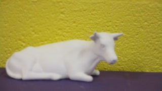 Cow - Resting