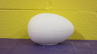 Container - Egg, Large, 2pc