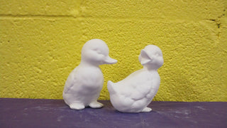 Duck - Ducklings, 2pc