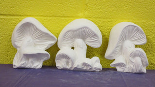 Mushroom - Wall Hanging, 3pc