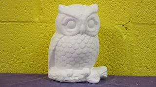 Owl - Sweetie