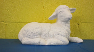 Sheep - Lamb