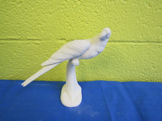 Bird - Parrot