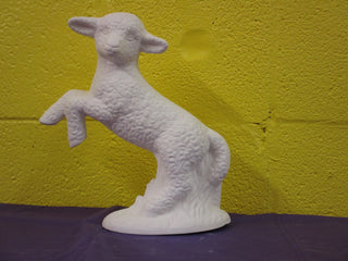 Sheep - Lamb, Frolicking