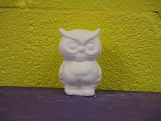 Owl - Baby
