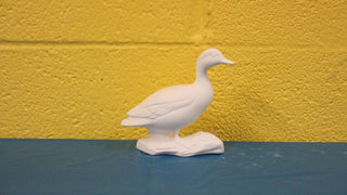 Duck - Mallard